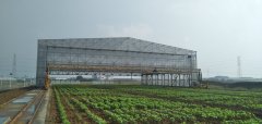 3.12植樹(shù)節，人人參與—靖起起重機生產(chǎn)廠(chǎng)家